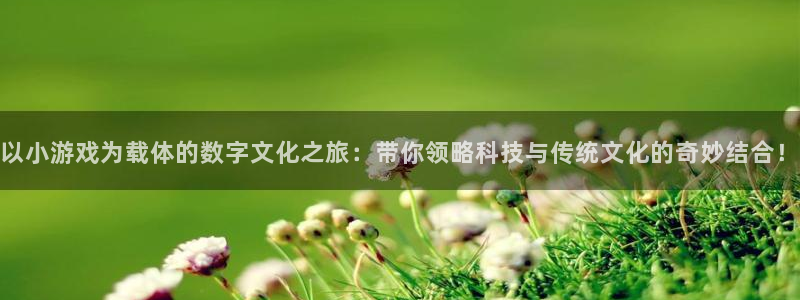 杏宇娱乐登录官网入口