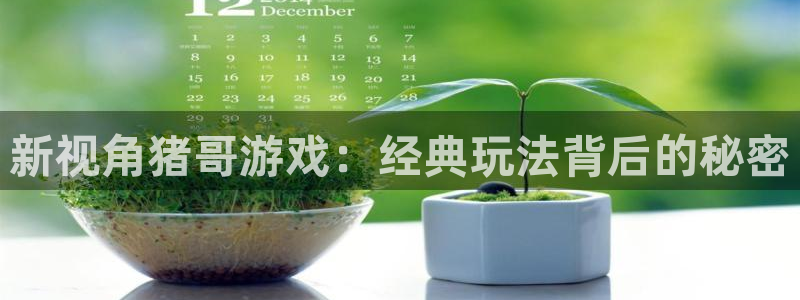 杏宇娱乐平台最新版下载安装