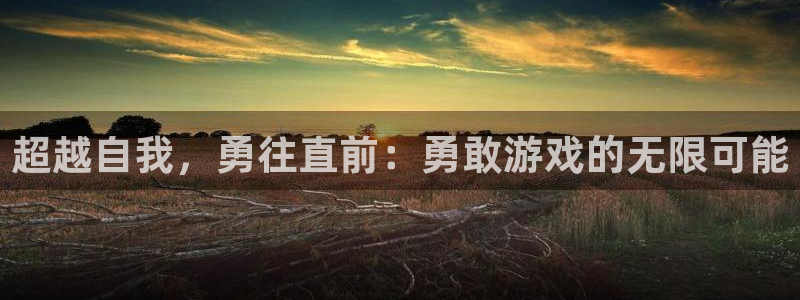 杏宇平台登陆入口