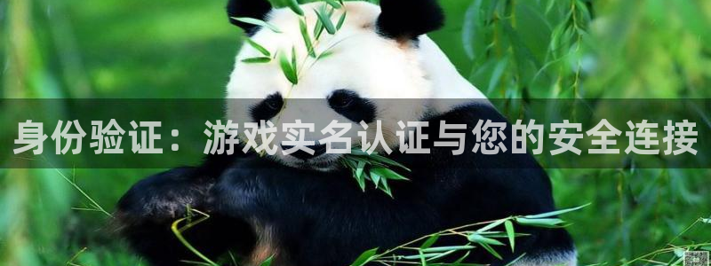 杏宇娱乐登录官网下载安装