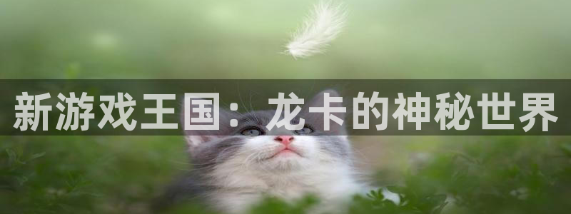 杏宇平台登录官网：新游戏王国：龙卡的神秘世界