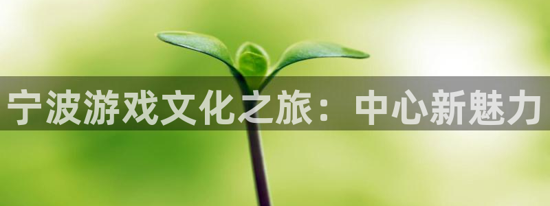 杏宇娱乐登录官网网址