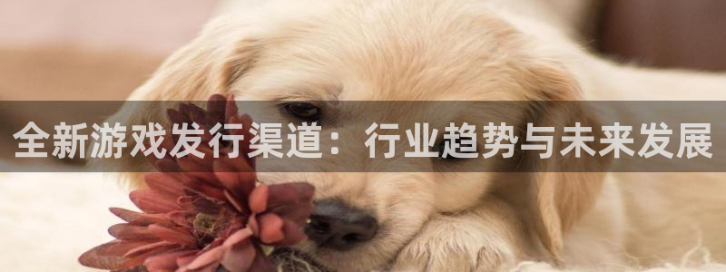 杏宇娱乐登录官网下载安装：全新游戏发行渠道：行业趋势与未来发