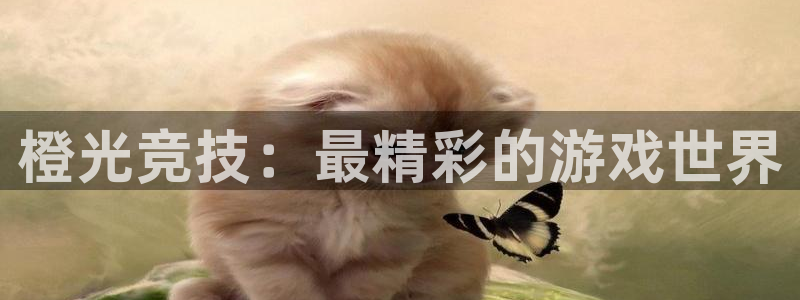 杏宇娱乐平台最新版下载：橙光竞技：最精彩的游戏世界