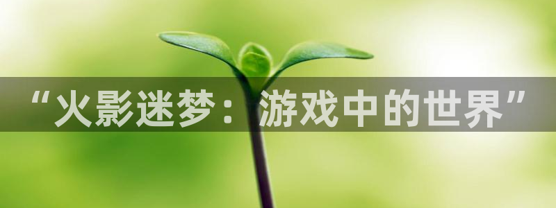 杏宇娱乐平台最新版下载官网苹果：“火影迷梦：游戏中的世界”