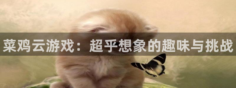 杏宇娱乐总代理