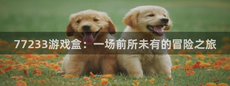 杏宇娱乐登录官网下载手机版：77233游戏盒：一场前所未有的