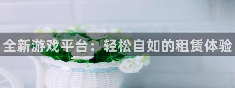 杏宇娱乐平台最新版下载官网安装：全新游戏平台：轻松自如的租赁